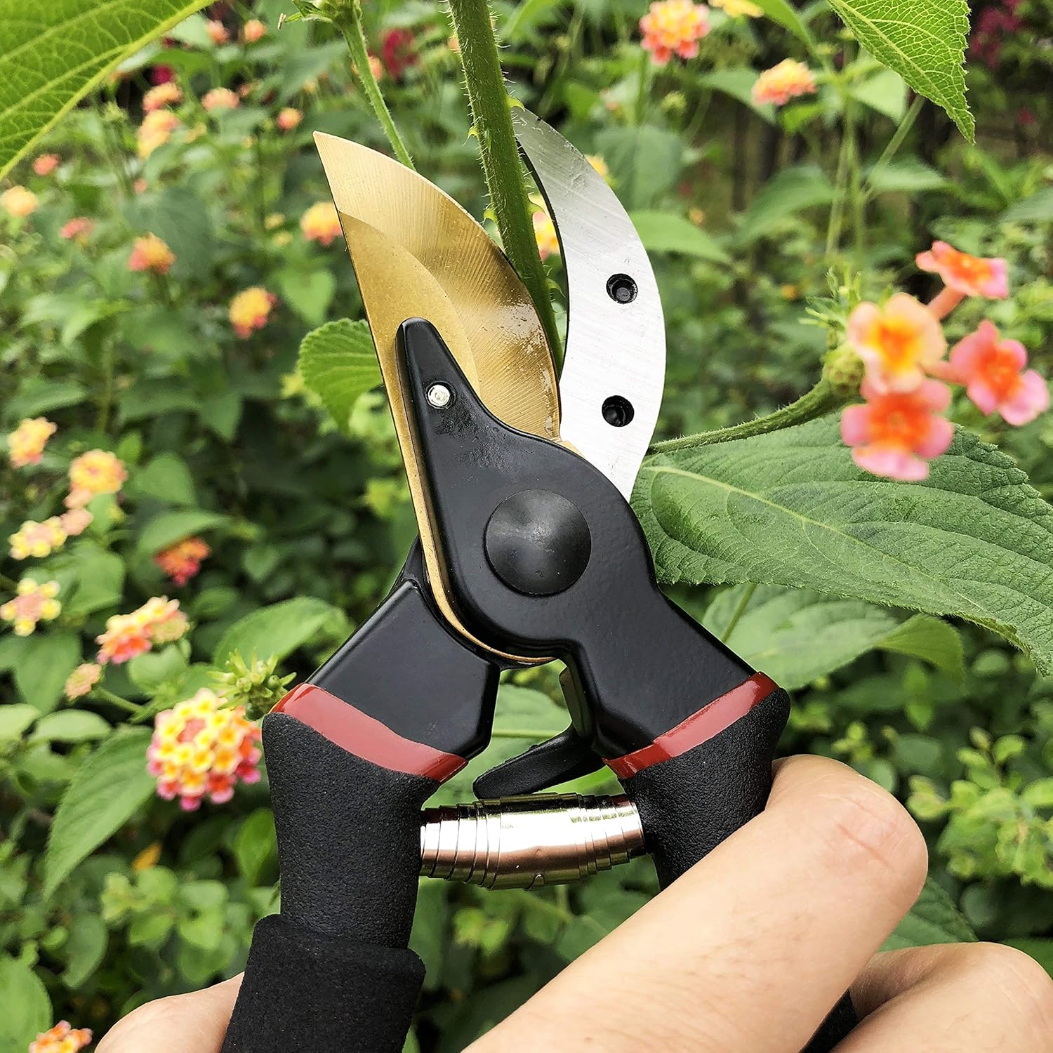 8" Professional Premium Titanium Bypass Pruning Shears (GPPS-1003), Hand Pruners, Garden Clippers..Fast and free shipping