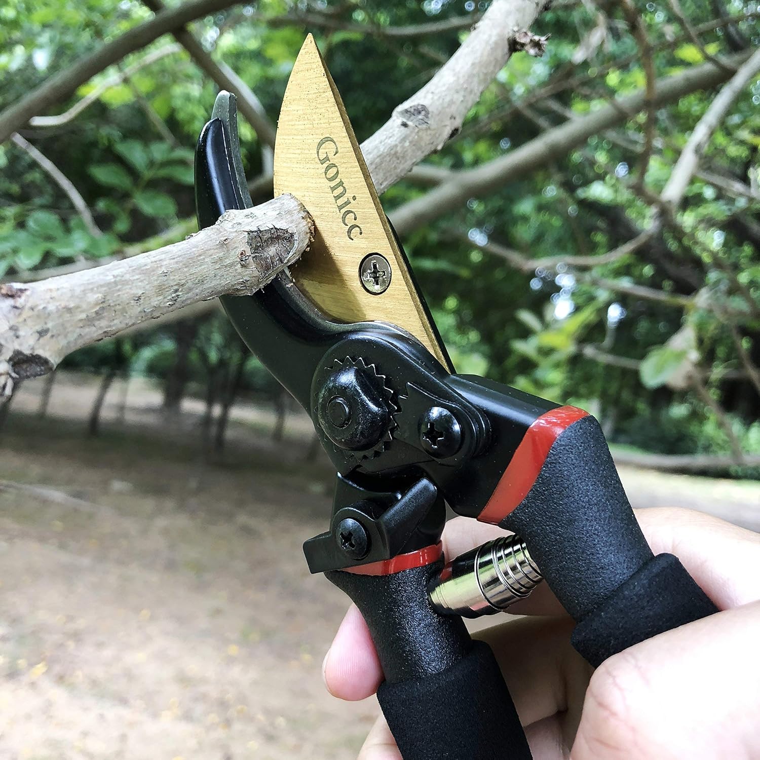 8" Professional Premium Titanium Bypass Pruning Shears (GPPS-1003), Hand Pruners, Garden Clippers..Fast and free shipping