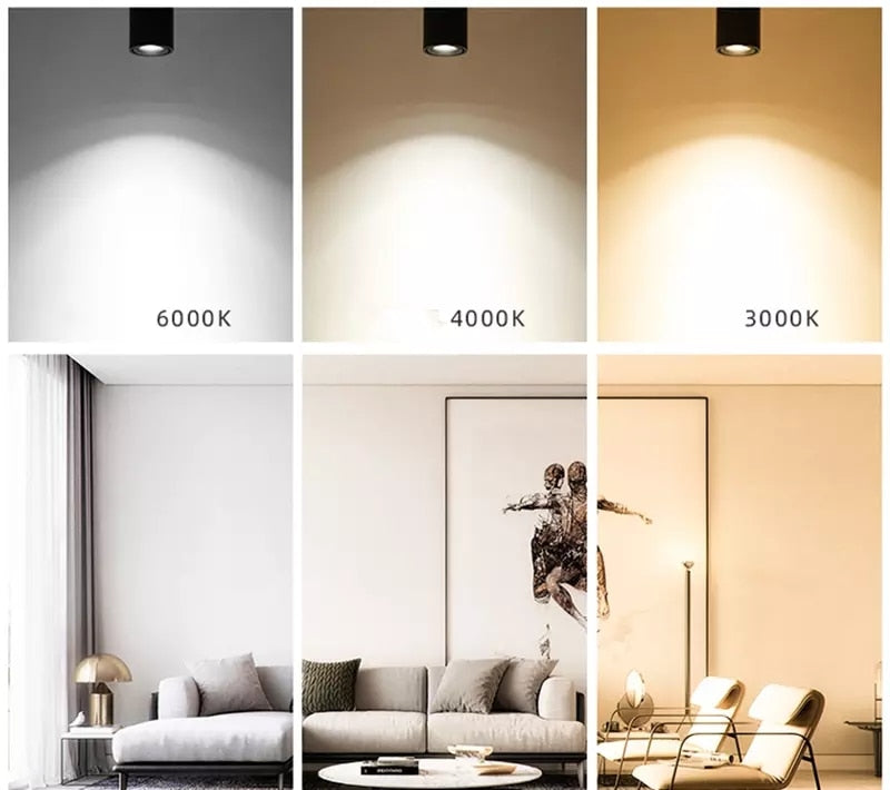 New Style Dimmable Surface Mounted Rotating LED Ceiling Downlight  10W Epistar LED Spot Light Ceiling Lamp,UL Certification, Delivery 60 days.