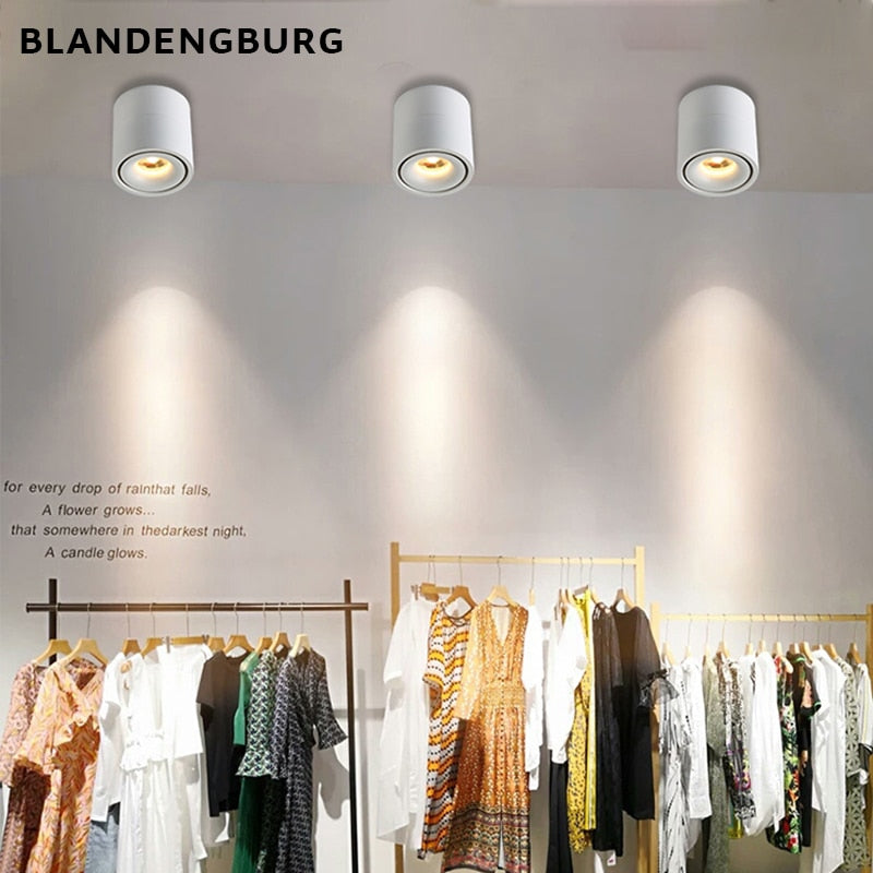 New Style Dimmable Surface Mounted Rotating LED Ceiling Downlight  10W Epistar LED Spot Light Ceiling Lamp,UL Certification, Delivery 60 days.